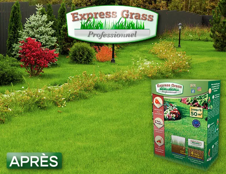 express grass professionnel test
