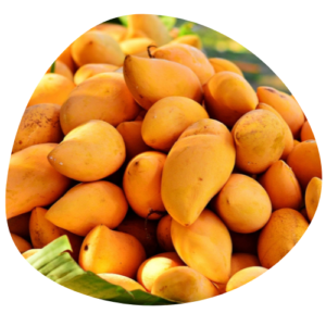 Extrait breveté de mangue africaine IGOB 131